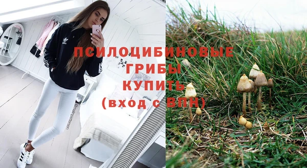 марки lsd Белокуриха